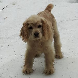 Meet your Posher, Brenda